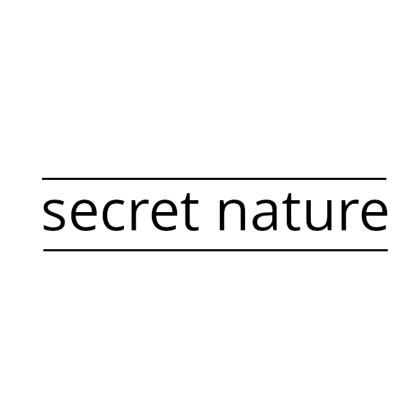 Nature secret. Nature’s Secret логотип. Secret nature корейская. Secret Skin косметика лого. H Secret Cosmetics logo.